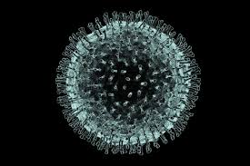 Coronavirus Business Interruption Claim