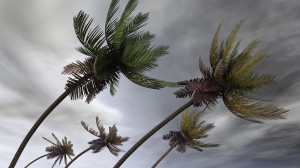 Hurricane Irma Insurance Claim Tips