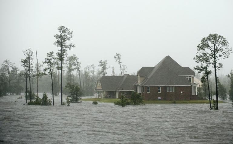 Hurricane Insurance Claim Aduster
