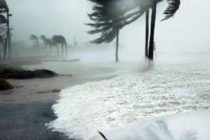 hurricane irma damage claim